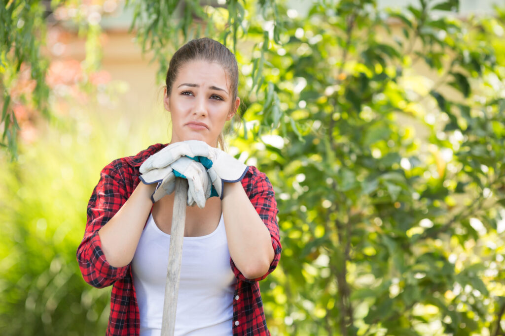 Avoiding Backyard Blunders: 5 Things to Know About A Property Before You Buy 6